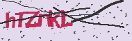 Captcha認証コード